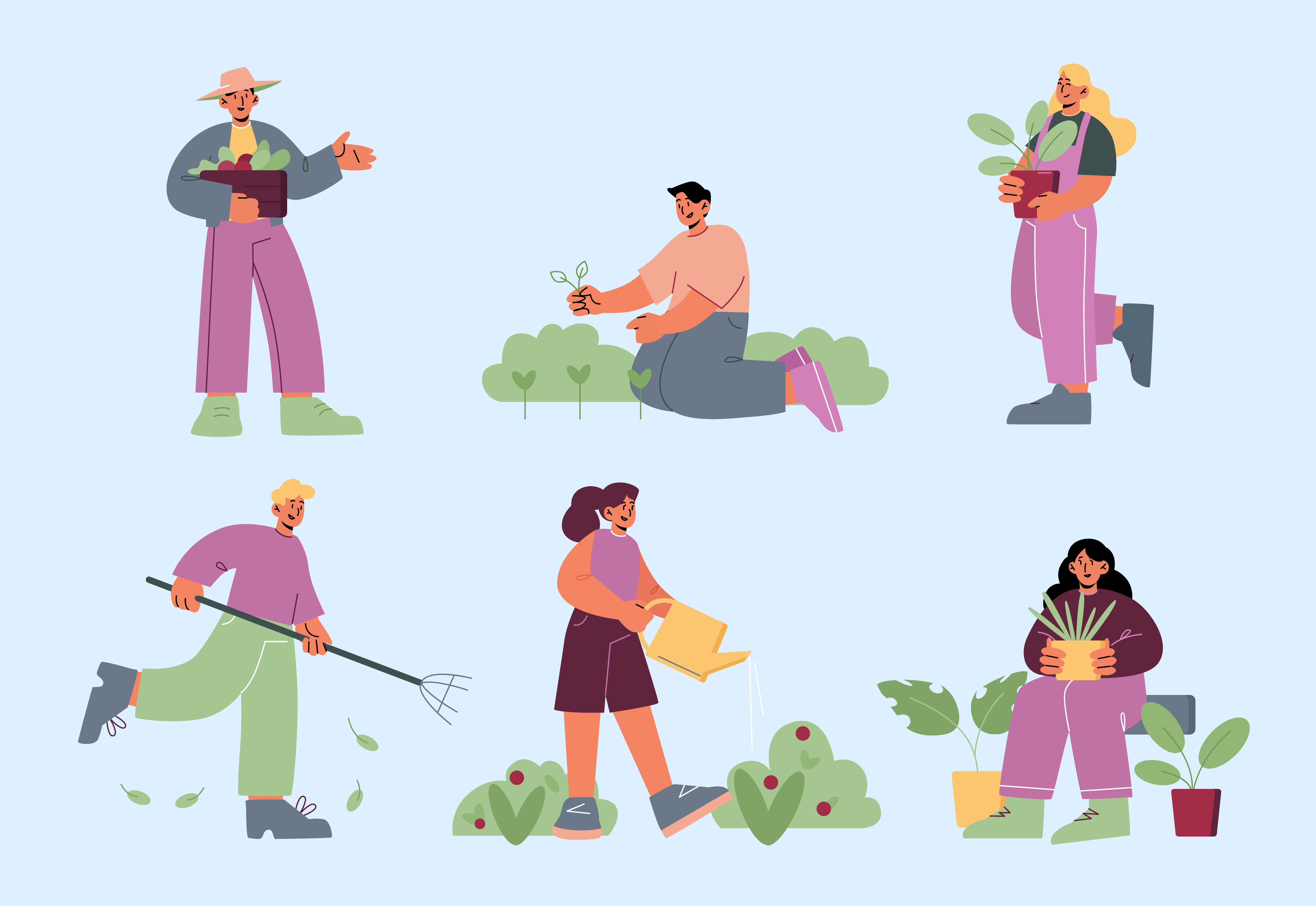 Green Waste Removal